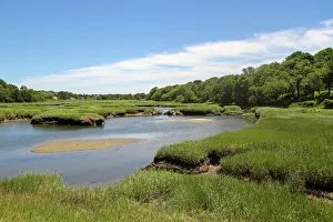 Marsh Prints: Wetlands, Barnstable, Cape Cod, Massachusetts, Usa