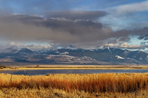 Images Dated 26th September 2024: Wetlands below Mount Powell in the Flint Creek Range at Warm Springs Wildlife Management Area in Warm Springs