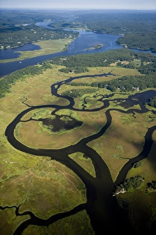 Winding Prints: Wetlands near the Connecticut River in Lyme, Connecticut