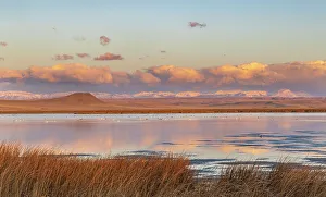 Choteau Prints: Wetlands pond at sunrise at Freezeout Lake Wildlife Management Area near Choteau