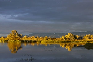 Polson Prints: Wetlands pond at sunset at Pablo NWR near Polson, Montana, USA