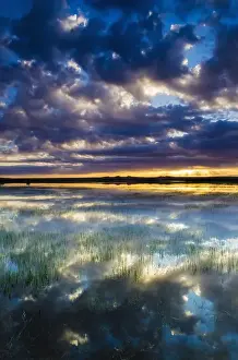 Images Dated 2nd April 2012: Wetlands at sunrise, Bosque del Apache National Wildlife Refuge, New Mexico USA