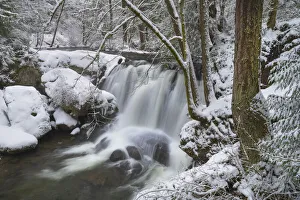 Blurred Prints: Whatcom Falls after fresh dusting of winter snow. Whatcom Falls City Park, Bellingham
