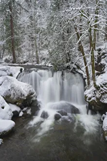 Images Dated 31st January 2020: Whatcom Falls after fresh dusting of winter snow. Whatcom Falls City Park, Bellingham