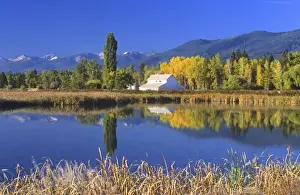 Lazy Prints: A white barn and beautiful fall foliage is reflected in pond at the Lee Metcalf National