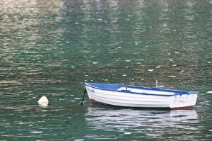 A white and blue rowing boat moored by a white buoy on a green sea. Uvala Sumartin