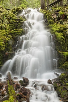Images Dated 9th November 2013: White Branch Falls, Oregon Cascades, Oregon