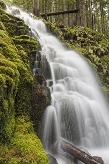 Images Dated 9th November 2013: White Branch Falls, Oregon Cascades, Oregon