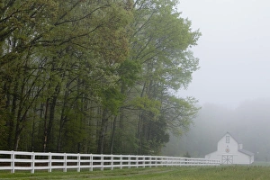 Images Dated 23rd April 2006: White farmhouse and fence in mist, Powhatan, Virginia, United States