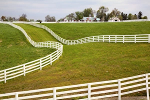White fence on Calumet Horse Farm, Lexington, Kentucky