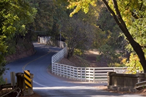 Sonoma County Prints: White fence curves alongside Westside Road, Sonoma, California, USA