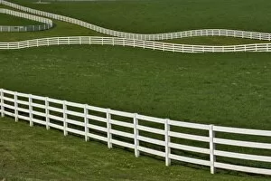 Images Dated 16th April 2005: White fence winding across Calumet horse farm, Lexington, Kentucky