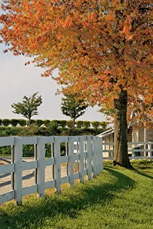 White fences, Keeneland race track, Lexington, Kentucky