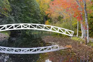 Images Dated 11th October 2015: white footbridge, autumn, Mount Desert Historical Society, Somesville, Maine, USA