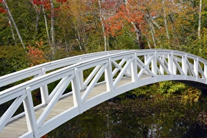 Perspective Prints: White Footbridge, Autumn, Somesville, Mount Desert Island, Maine, USA