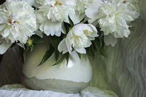 White peonies in cream pitcher