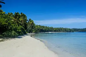 Scenics Prints: White sand beach and turquoise water at the Nanuya Lailai island, the blue lagoon