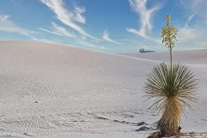White Sands National Park