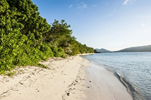 Images Dated 5th July 2011: White sandy beach, Oarsman Bay, Yasawas, Fiji, South Pacific