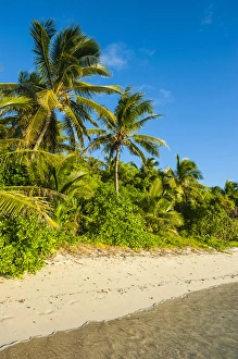 Images Dated 5th July 2011: White sandy beach, Oarsman Bay, Yasawas, Fiji, South Pacific