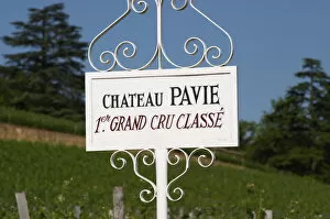 Images Dated 27th May 2005: A white sign in the vineyard of Chateau Pavie 1st, premier first Grand Cru Classe