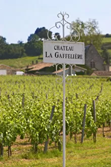 A white sign in the vineyard saying Chateau La Gaffeliere Gaffeliere Saint Emilion