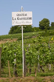 Images Dated 27th May 2005: A white sign in the vineyard saying Chateau La Gaffeliere Gaffeliere 1st, premier