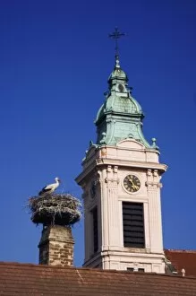 Images Dated 25th April 2007: White Stork, Ciconia ciconia, adult on nest by church in Rust city, Rust, National