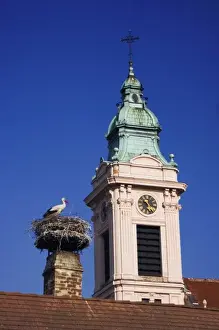 Neusiedler See Prints: White Stork, Ciconia ciconia, adult on nest by church in Rust city, Rust, National