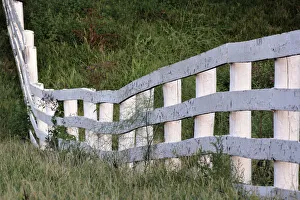 Shaker Village Prints: White wooden fence across rolling hill