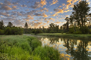 Whitefish Prints: The Whitefish River with nice sunrise clouds reflectng in Whitefish, Montana, USA