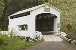 Nostalgia Prints: Wild Cat covered bridge, Lane County, Oregon