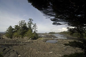Images Dated 16th September 2006: Along the Wild Pacific Trail, Pacific Rim National Park Reserve, Ucluelet, British Columbia