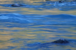 Silence Prints: Wild Rogue Wilderness, OR Rogue River. Abstracts. Siskiyou National Forest. June