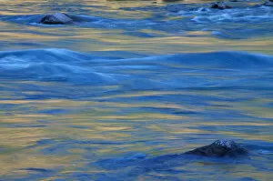 Wild Rogue Wilderness, OR Rogue River. Abstracts. Siskiyou National Forest. June