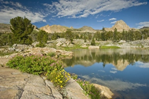 Wildflowers, Lake, and Buck Mountain, Alaska Basin trail near Driggs, Idaho Caribou-Targhee
