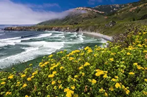 Landforms Prints: Wildflowers above Sand Dollar Beach, Los Padres National Forest, Big Sur, California