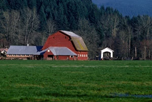 A Willamette Valley farm, with Larwood Bridge in the background, in Lane County, Oregon