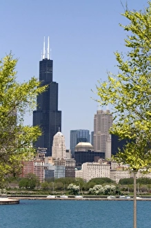 Sky Scraper Prints: Willis Tower formerly known as the Sears Tower in Chicago, Illinois, USA