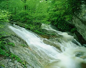 Flowing Prints: Wilson Creek Pisgah National Forest, North Carolina Wilson CreekPisgah National Forest