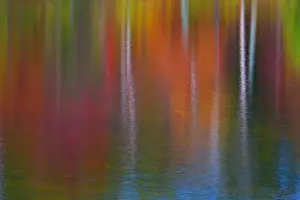 Mallorie Ostrowitz Prints: As the wind blew the surface of the water, the reflections became quite abstract