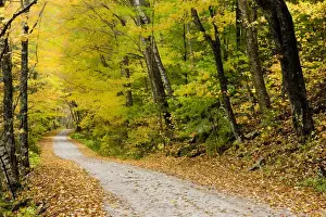Diminishing Perspective Prints: Wind blurs the fall colors along Kelly Stand Road in southern Vermont. Green Mountain