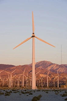 Images Dated 11th August 2015: A wind farm in the San Gorgonio Mountain Pass in Palm Springs, California