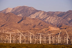Images Dated 11th August 2015: A wind farm in the San Gorgonio Mountain Pass in Palm Springs, California