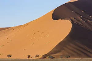Sossusvlei Prints: Wind sculpted, towering sand dunes of Sossusvlei in Namib-Naukluft National Park, Namibia