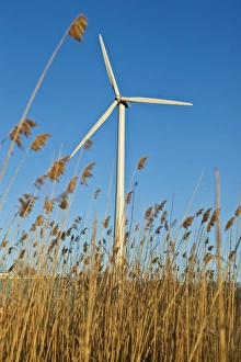 Low Angle View Prints: A wind turbine in Newburyport, Massachusetts