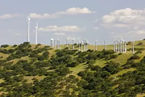 Wind turbines above a California Oak forest in the hills of California
