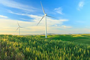 Palouse Prints: Wind Turbines near Oaksdale, Palouse Area of Eastern, WA