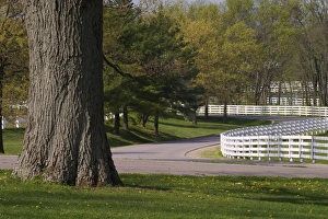 Lexington Prints: Winding fences, Kentucky Horse Park, Lexington, Kentucky