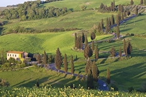 Images Dated 7th May 2009: Winding Road, Monticchiello, Tuscany, Italy
